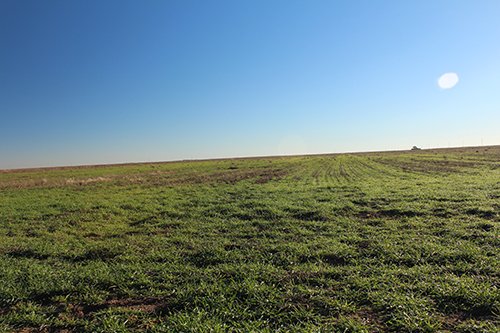 TRACT 4 - REAL ESTATE & MINERAL AUCTION - 640+/- ACRES & PRODUCING MINERALS OFFERED IN 8 TRACTS IN MORTON COUNTY, KANSAS